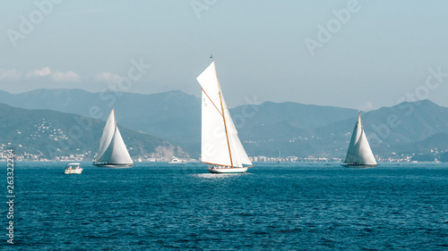 Three sailboats in a sea