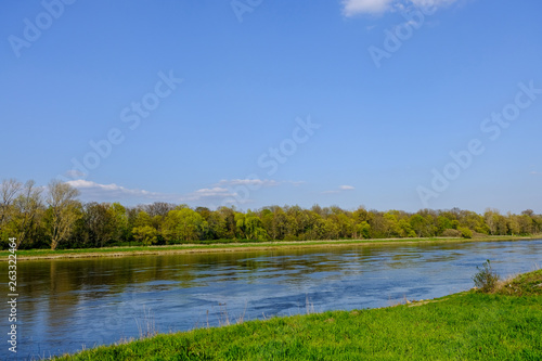 River elbe with blue sky trees and grass
