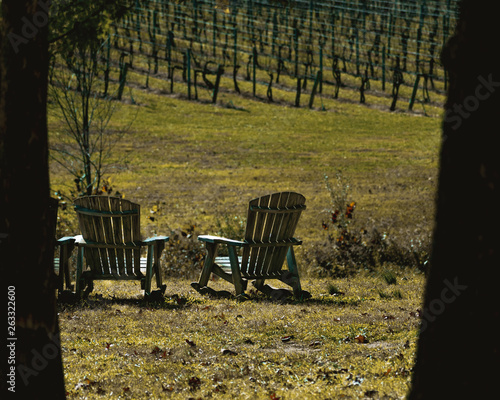 Two Chairs Looking Out Over the Vinyard