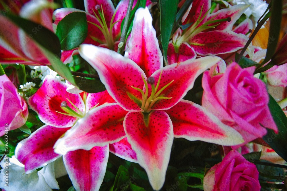 Vibrant pink lily as part of bridal bouquet