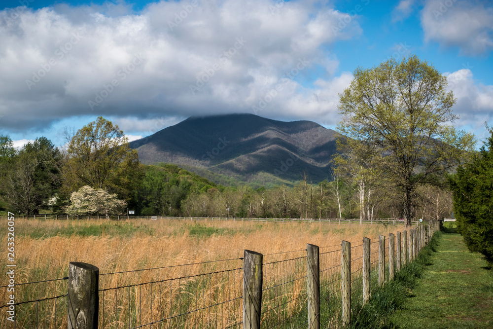 Blue Ridge Mountain Landscape