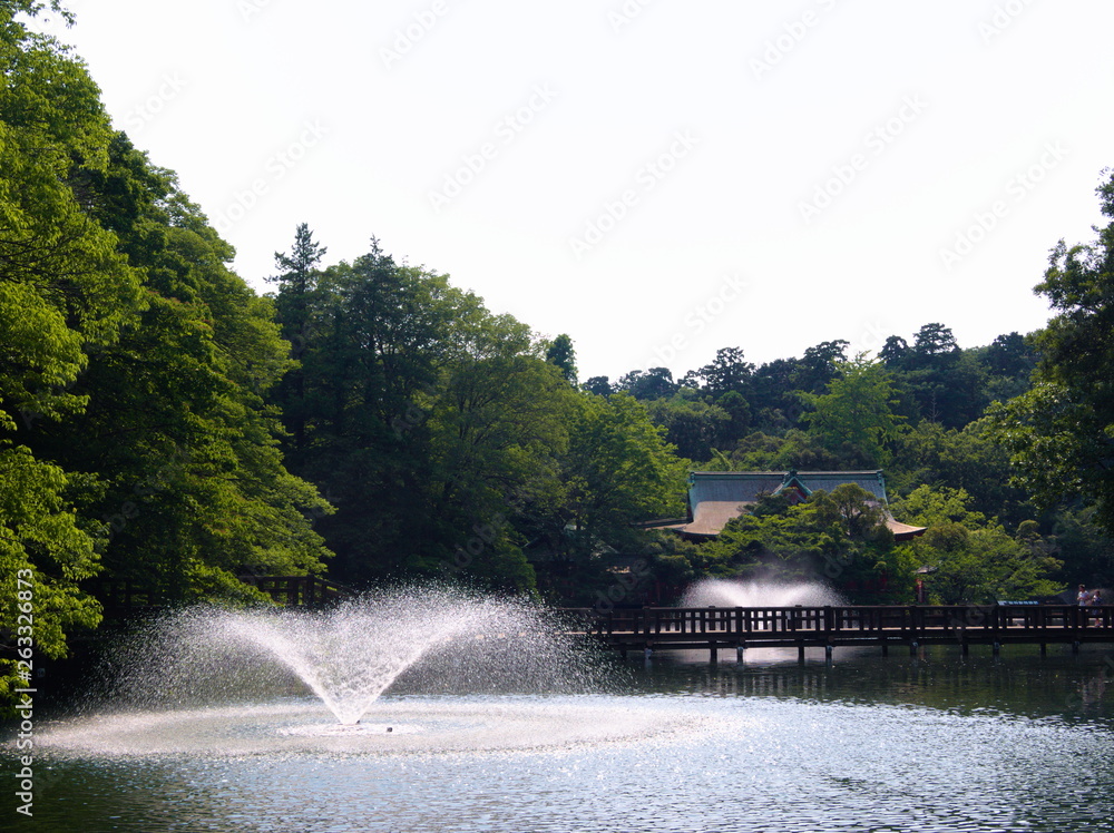 bridge over the river