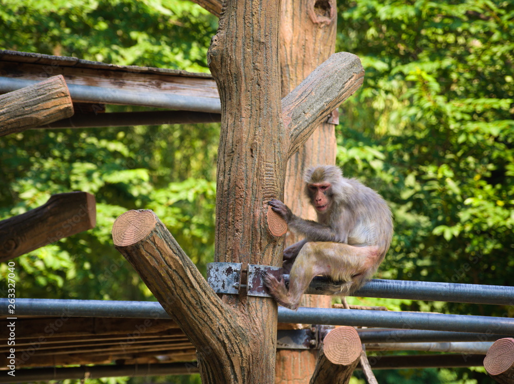 zoo