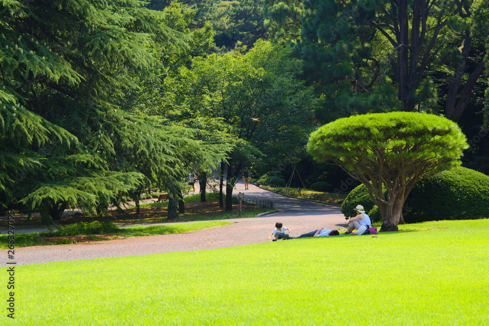 golf course in the park