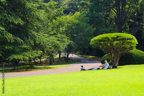 Obraz na płótnie golf course in the park w salonie
