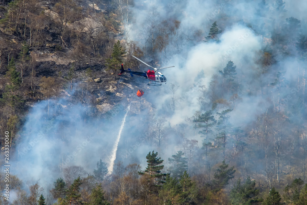 Obraz premium Helicopter extinguishing wildfire. Bergen, Norway.
