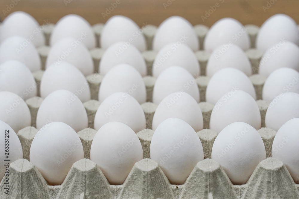 White chicken eggs in cardboard tray closeup. Side view White chicken eggs in cardboard tray closeup. Side view