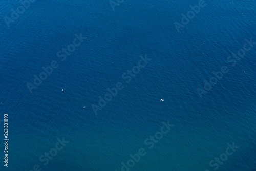 Gulls fly against the background of the ocean. Background with nature, summer