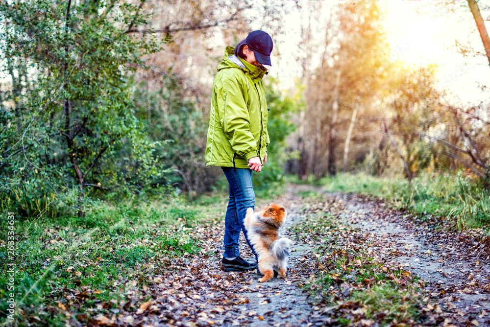 Girl with charming Pomeranian spitz dog in summer autumn forest park.