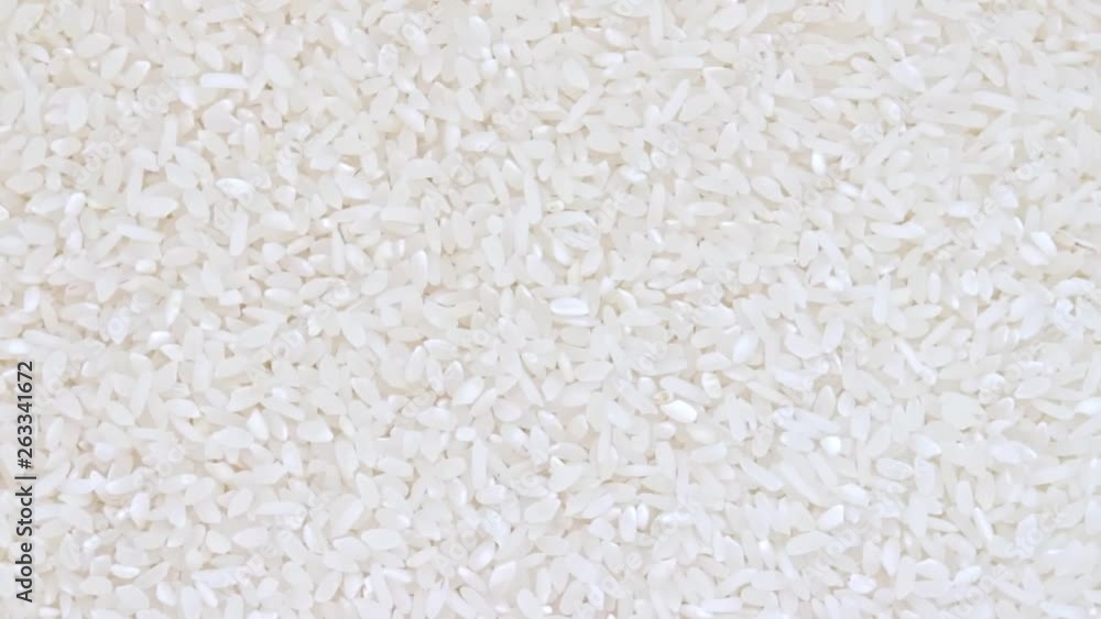 Fresh raw organic risotto rice rotation background Fresh raw organic risotto rice rotation background