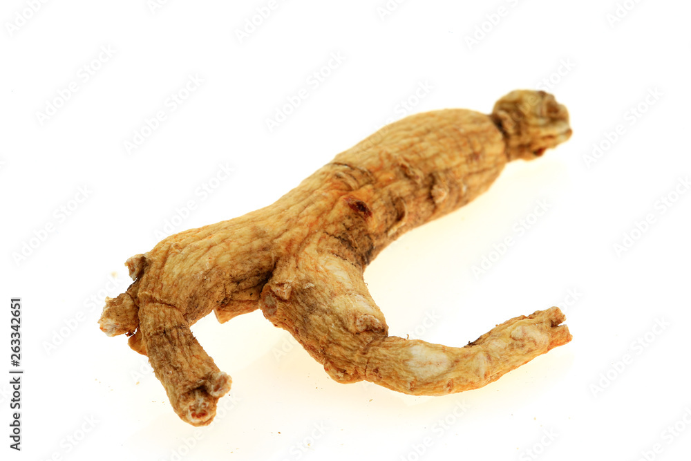 Fototapeta premium Ginseng on a white background