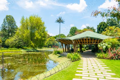 Bogota pond gazebo and tropical plants