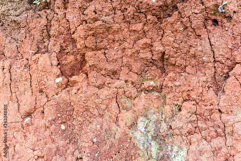 Close up of baked clay background Texture. Dry earth texture backgroud Close up of baked clay background Texture. Dry earth texture backgroud