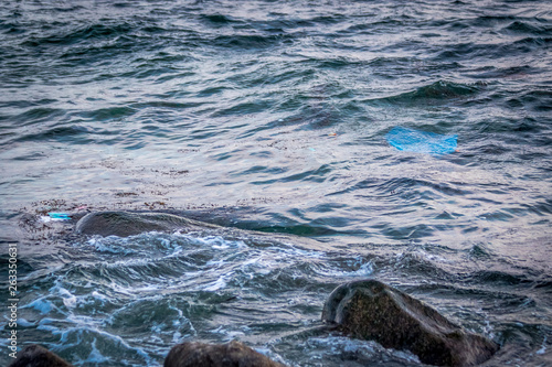 Wallpaper Mural Marine pollution is thrown in the ocean like trash. Torontodigital.ca