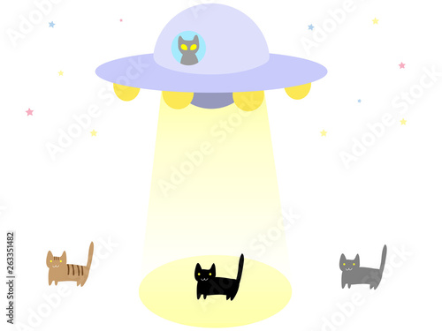  abduction alien cat