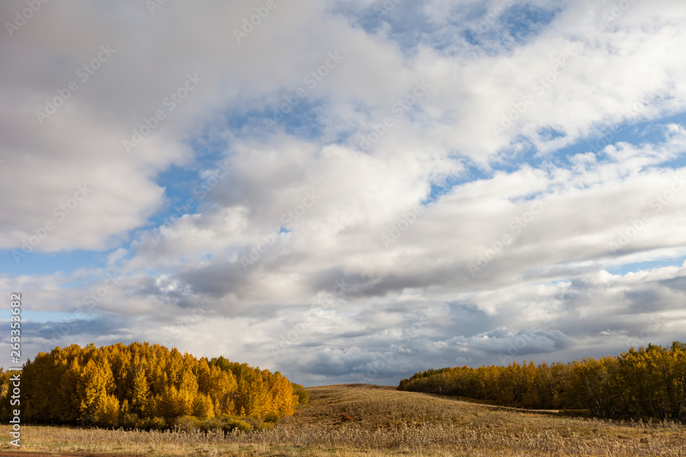 Naklejka premium Prairie rolling hills