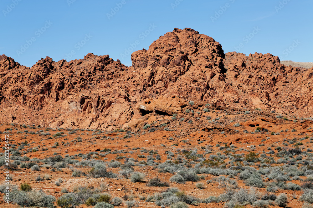 Fototapeta premium Valley of Fire Colors