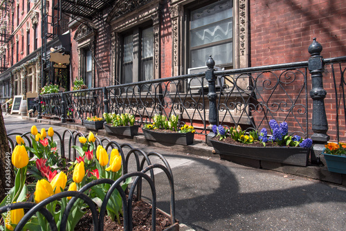 Bright tulips adorn the sidewalks of Greenwich Village on a crisp spring morning