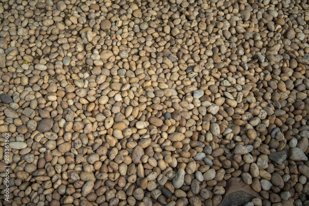 Small rock in garden Small rock in garden