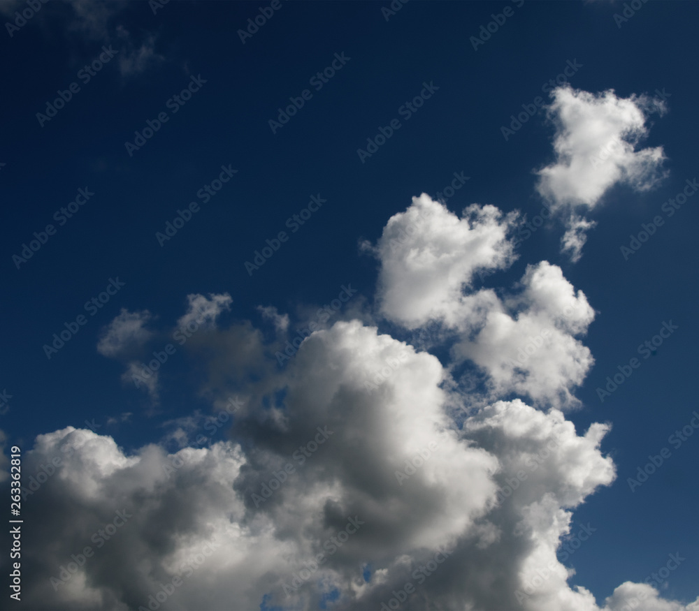 Obraz premium Magnificent white cumulonimbus cloud in blue sky. Australia.