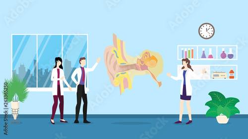 human ear anatomy structure health care checkup analysis identifying by doctor people on the hospital - vector