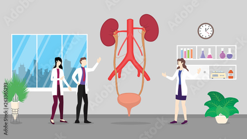 human ureter anatomy structure system health care checkup analysis identifying by doctor people on the hospital - vector