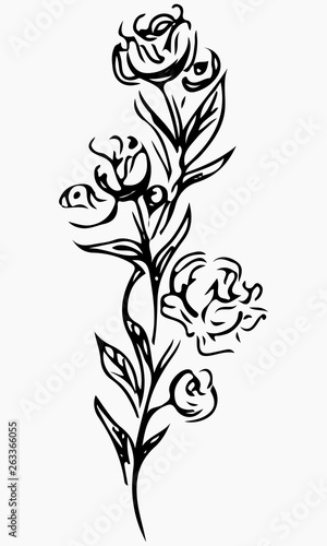 Hand Drawn Vector Illustrations Of Abstract Peony Flower Isolated on Gray. Floral Design Elements For Invitations, Greeting Cards, Posters, Blogs. Hand Drawn Sketch of a Flowers.