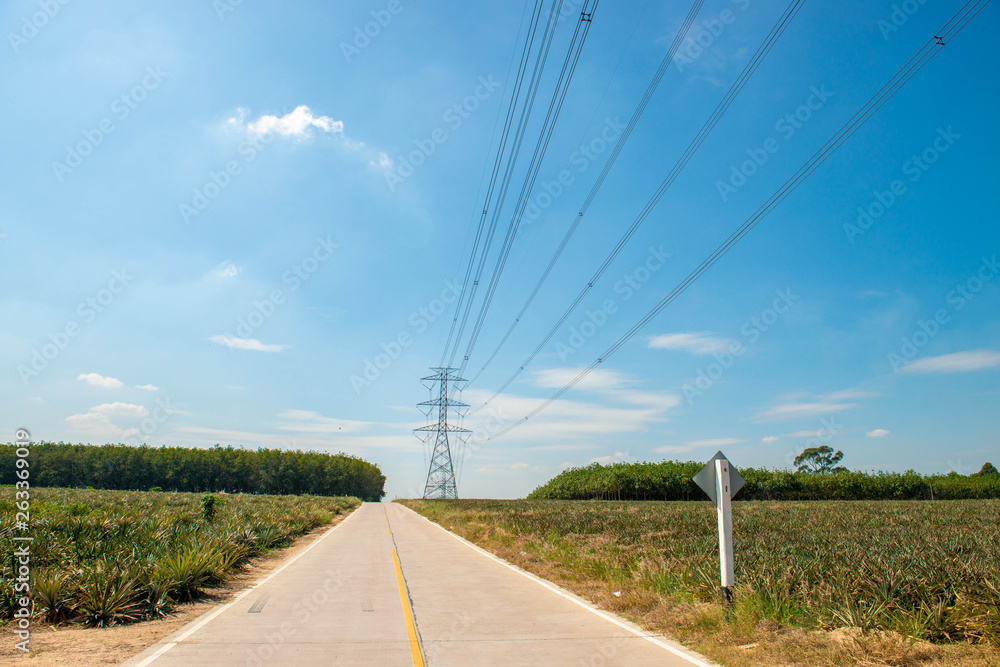 High voltage lines and power pylons in a flat and green agricultural landscape on a sunny day 