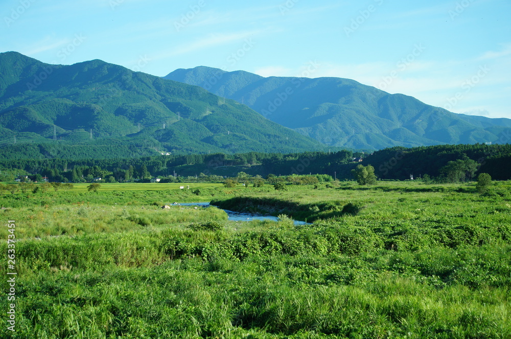 Fototapeta premium 箒川 山 夏