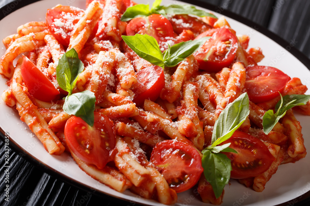 Traditional Italian pasta Casarecce with tomato sauce, parmesan cheese and basil closeup on a plate. horizontal Traditional Italian pasta Casarecce with tomato sauce, parmesan cheese and basil closeup on a plate. horizontal