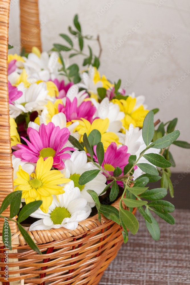 Beautiful colorful chrysanthemum flowers in a wicker basket