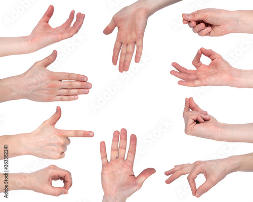Empty male hand making gesture like holding something isolated on white background. Set of multiple Hand gestures