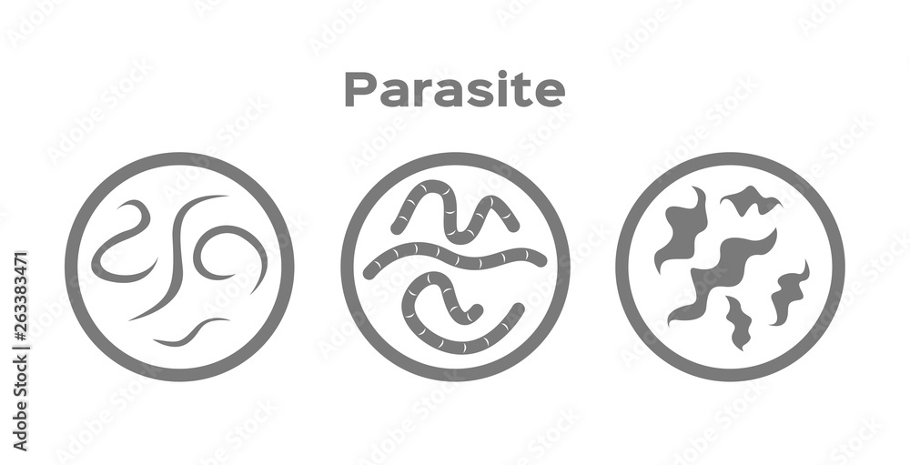 parasite in human icon