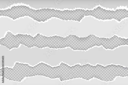 Ripped paper page. Newspaper horizontal torn strips, realistic transparent white cardboard rip edge. Vector banner rough edge grey illustration