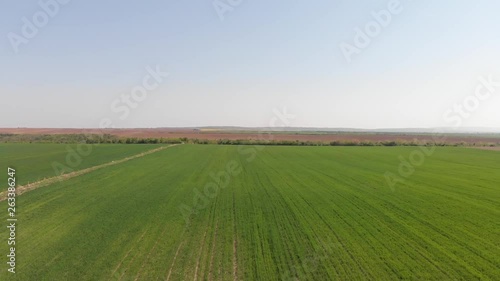 Drone 4k video of green field in nature on windy day