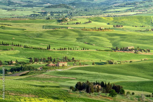 Tuscany  rural sunset landscape. Countryside farm  cypresses trees  green field Italy  Europe.