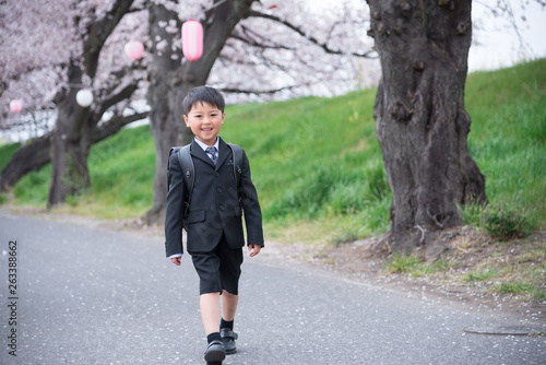 学校に向かう小学生の男の子 © tatsushi
