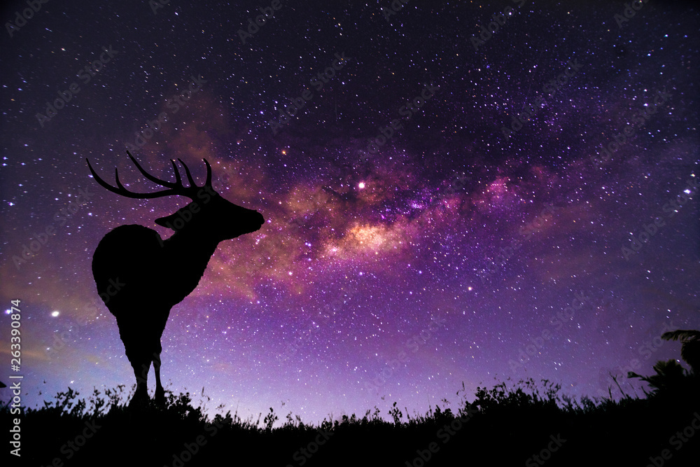 The deer image stands in the Milky Way constellation. The deer image stands in the Milky Way constellation.