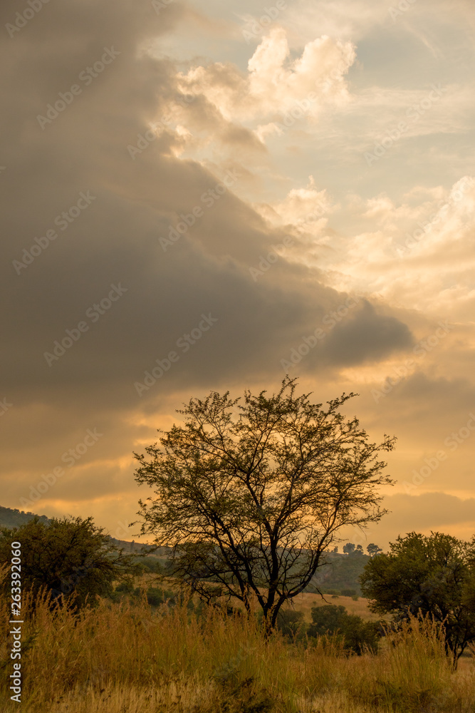 Sunrise over an early morning countryside image with copy space Sunrise over an early morning countryside image with copy space