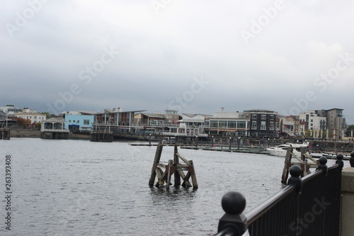 Wellington harbour