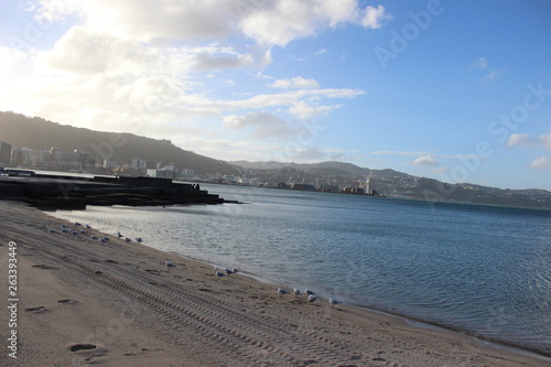 Oriental Bay