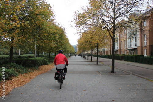 Cycling through trees