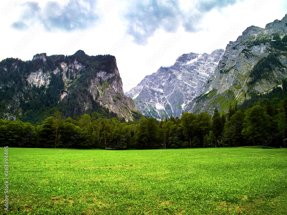 A field in the forest among the mountains. View of the Alpine mountains.