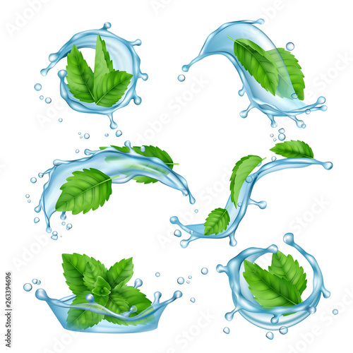 Fresh water mint. Liquid splashes with green menthol leaf for drink vector realistic collection. Illustration of menthol leaf and mint fresh