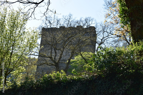 Ruine der Burg Altwied photo