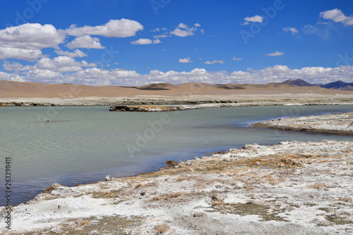 Fototapeta Naklejka Na Ścianę i Meble -  Strongly saline lake Ruldan (Nak) in Tibet, China