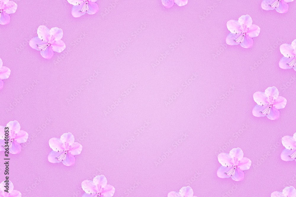 Light pink background with beautiful spring flowers.Copy space Congratulatory background. Holiday card.