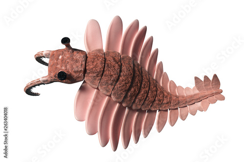 Anomalocaris, creature of the Cambrian period, top view, isolated on white background (3d science illustration) photo