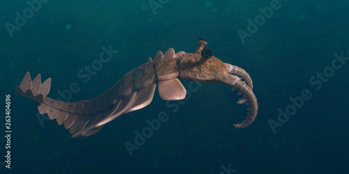Anomalocaris, life form of the Cambrian period (3d paleoart illustration) photo