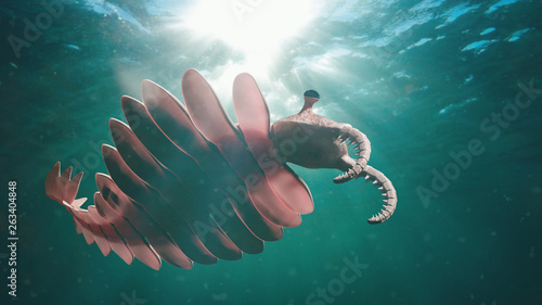 Anomalocaris, life form of the Cambrian period (3d science illustration) photo